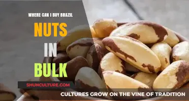 Bulk Brazil Nuts: Top Retailers and Online Sources for Wholesale Purchases