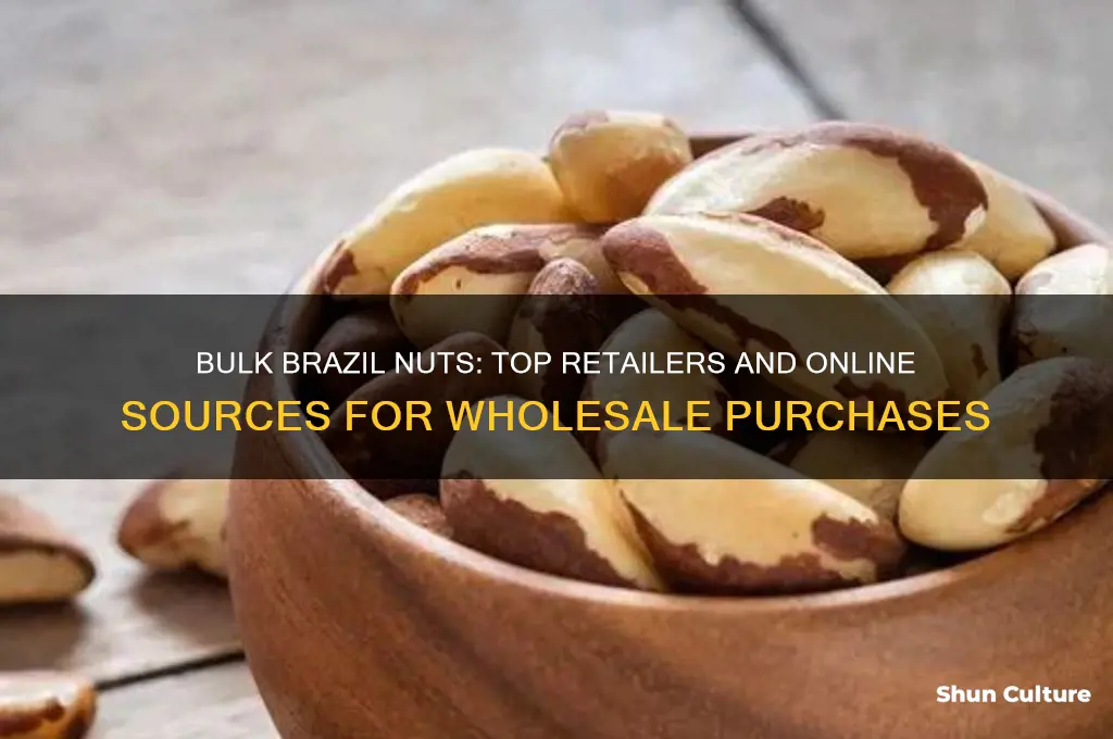 where can I buy brazil nuts in bulk