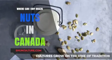 Where to Buy Brazil Nuts in Canada: Top Retailers and Online Options