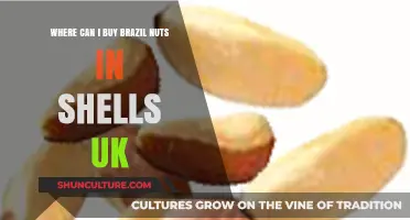 Where to Buy Brazil Nuts in Shells in the UK