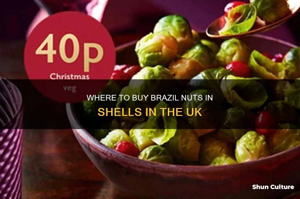 where can I buy brazil nuts in shells uk