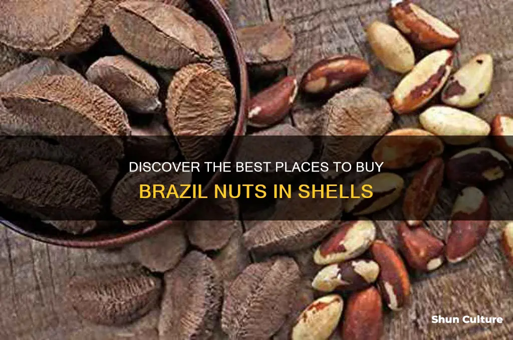where can I buy brazil nuts in shells