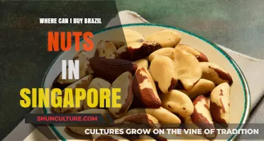Discover the Best Places to Buy Brazil Nuts in Singapore