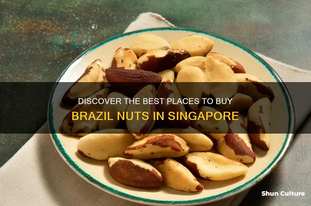 where can I buy brazil nuts in singapore