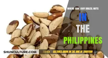 Where to Buy Brazil Nuts in the Philippines: A Shopper's Guide