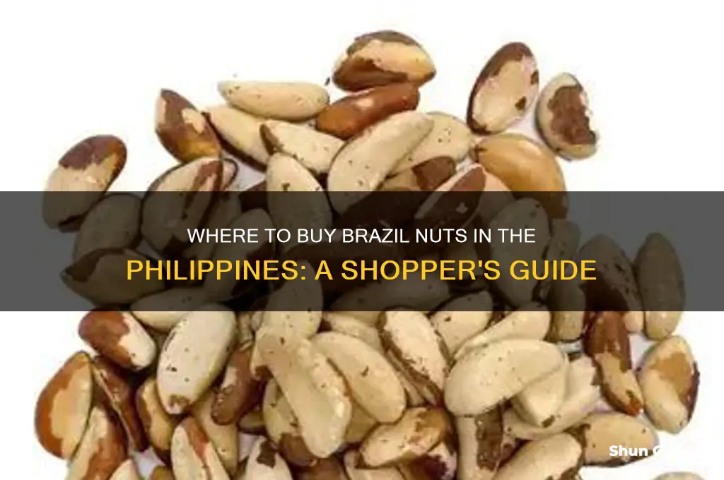 where can I buy brazil nuts in the philippines