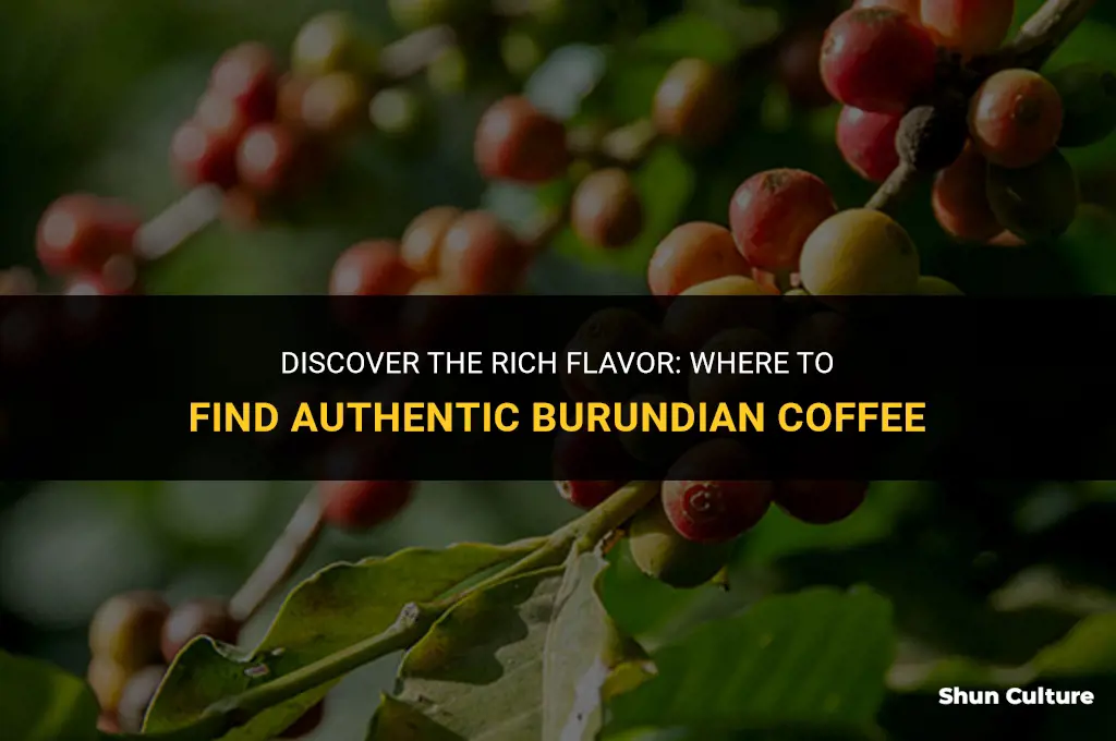 where can I buy burundian coffee