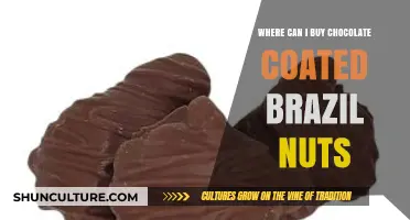 Discover Top Stores for Chocolate-Coated Brazil Nuts: A Sweet Guide