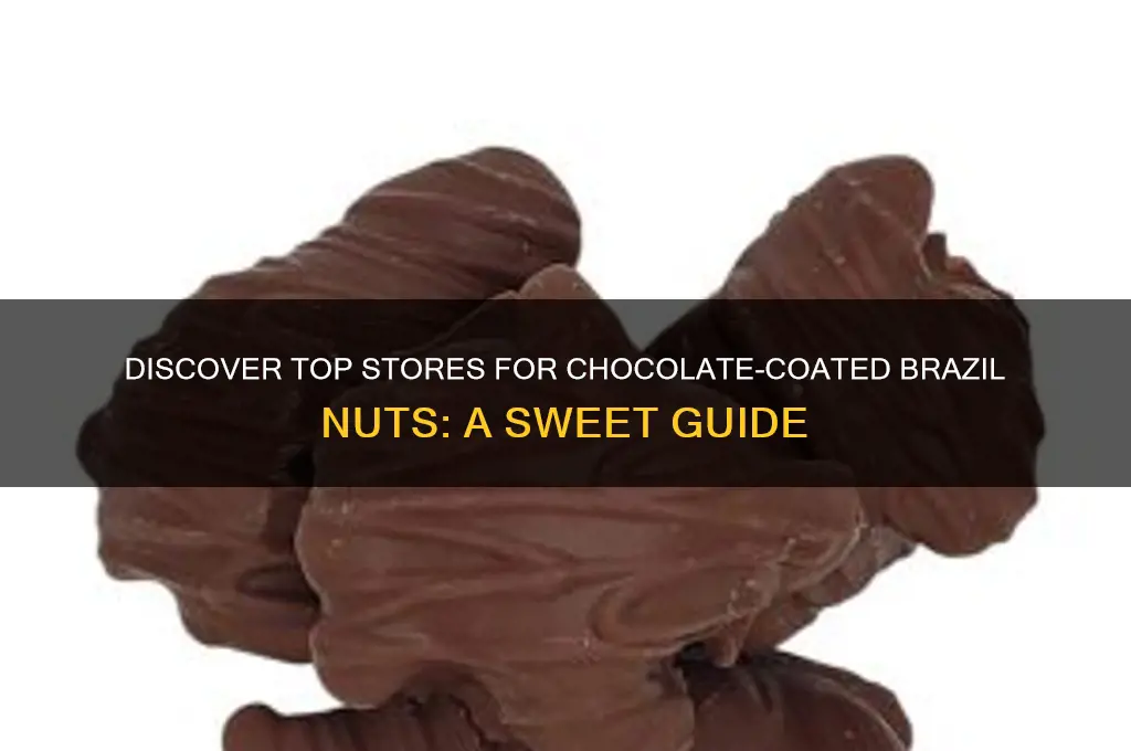 where can I buy chocolate coated brazil nuts