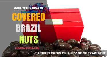 Discover Top Retailers for Chocolate-Covered Brazil Nuts: A Sweet Guide
