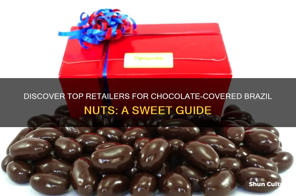 where can I buy chocolate covered brazil nuts