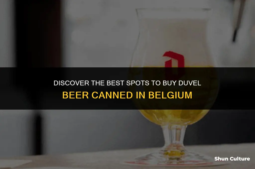 where can I buy duvel beer canned belgium