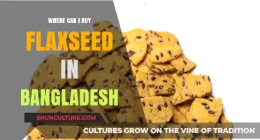Where to Buy Flaxseed in Bangladesh: Top Stores and Tips