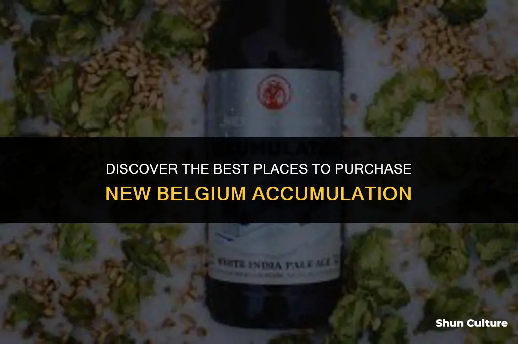 where can I buy new belgium accumulation