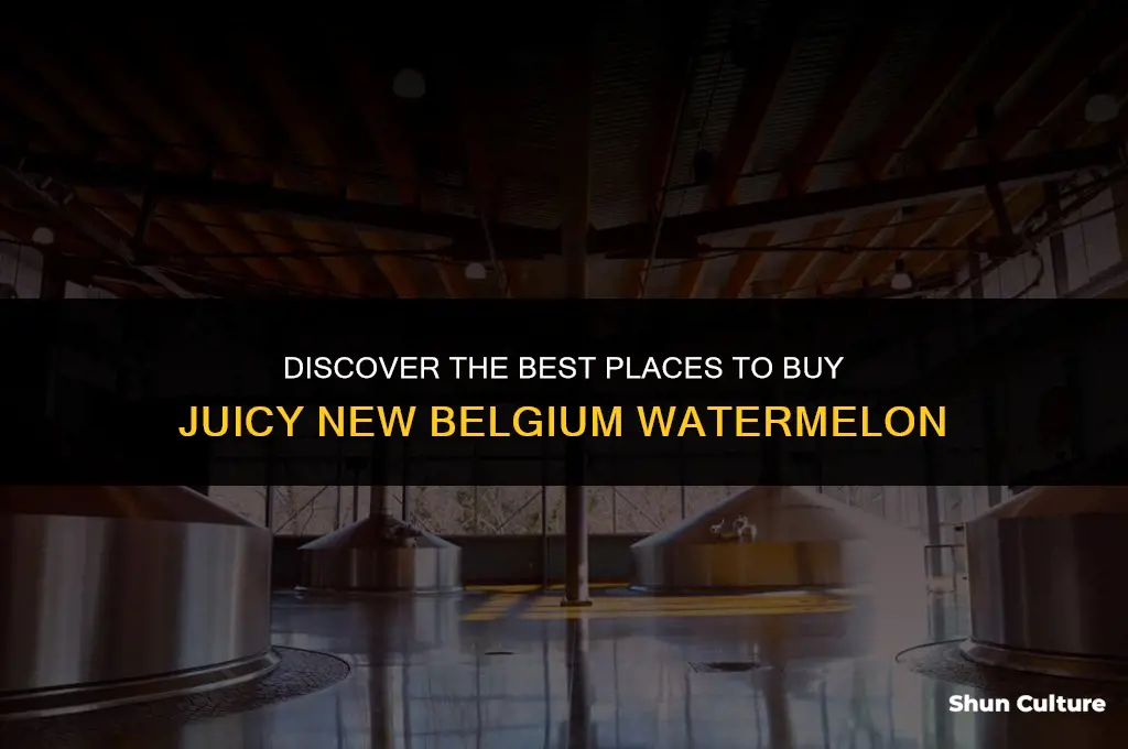 where can I buy new belgium juicy watermelon
