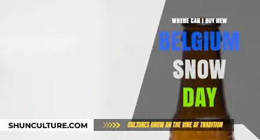 Where to Purchase New Belgium Snow Day: A Comprehensive Guide