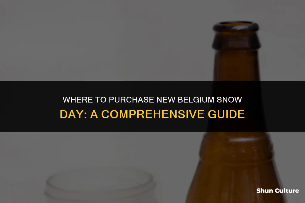 where can I buy new belgium snow day