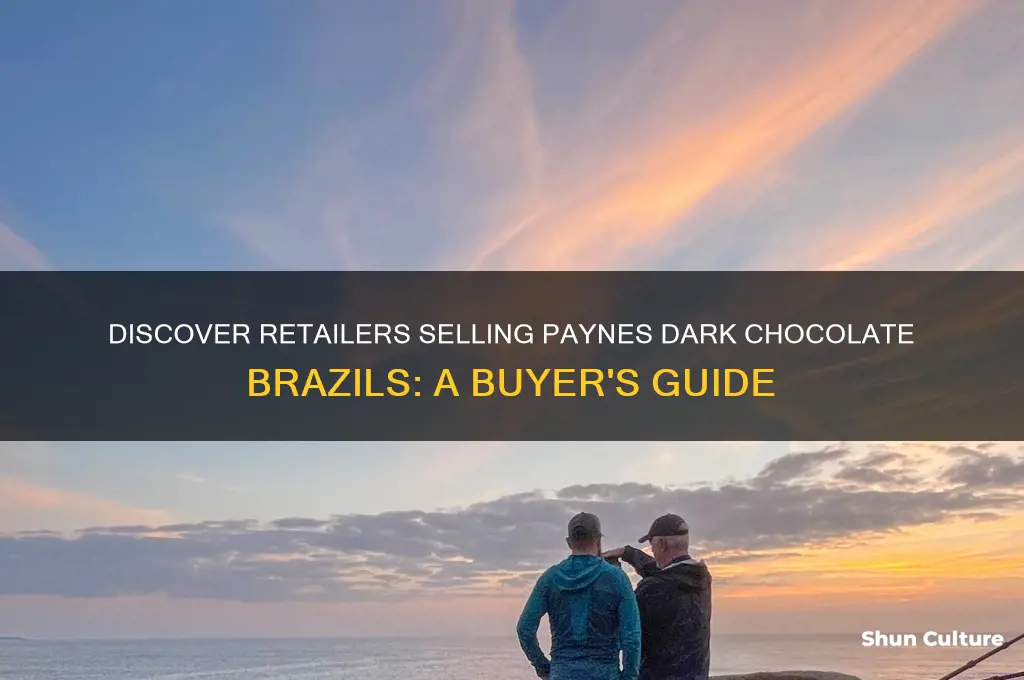 where can I buy paynes dark chocolate brazils