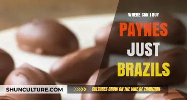 Where to Buy Payne's Just Brazils: A Sweet Shopping Guide