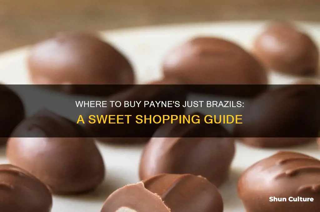 where can I buy paynes just brazils