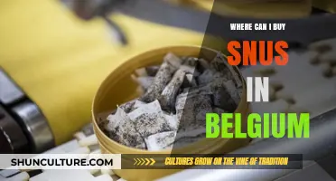 Discover the Best Places to Buy Snus in Belgium