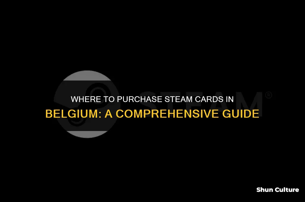 where can I buy steam card in belgium