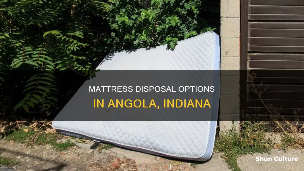 where can I dump a mattress in angola indiana