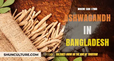 Discover Ashwagandha in Bangladesh: Top Sources and Local Availability
