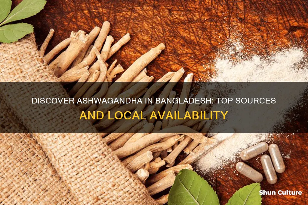 where can I find ashwagandha in bangladesh