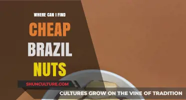 Discover Affordable Brazil Nuts: Top Sources for Budget-Friendly Buys