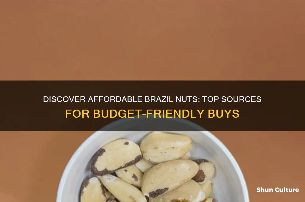 where can I find cheap brazil nuts