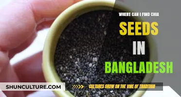 Discovering Chia Seeds in Bangladesh: Top Stores and Online Sources
