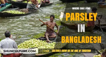 Discovering Parsley in Bangladesh: Local Markets and Grocery Stores