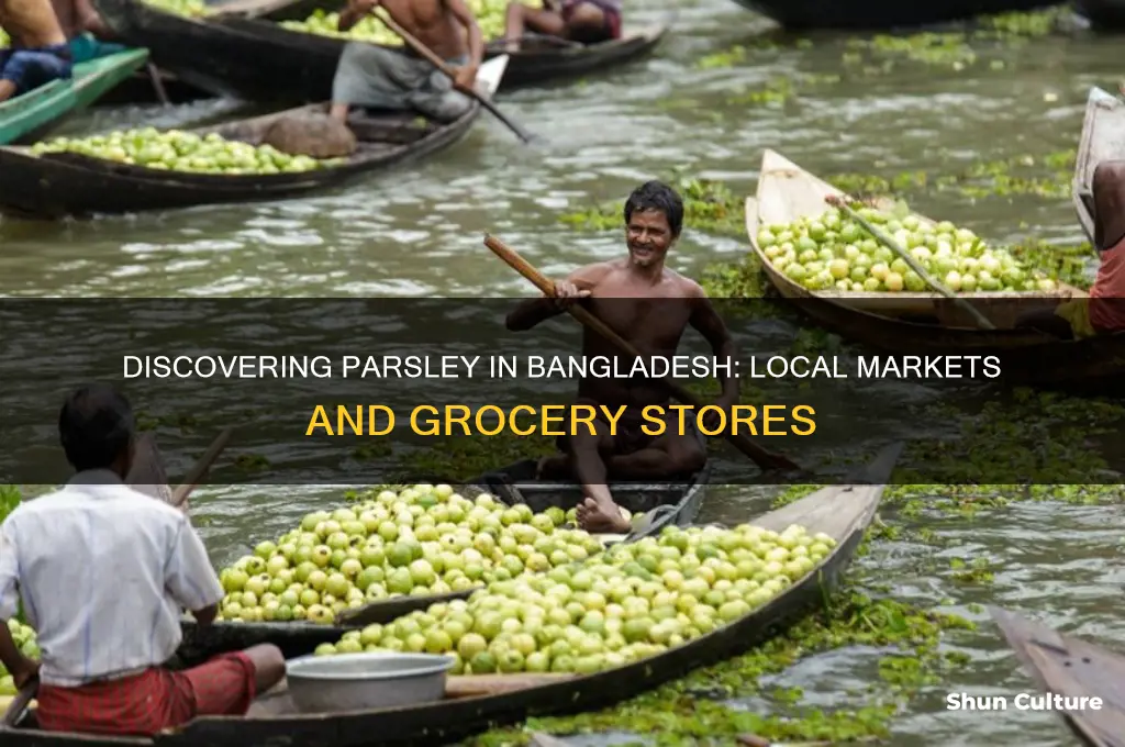 where can I find parsley in bangladesh