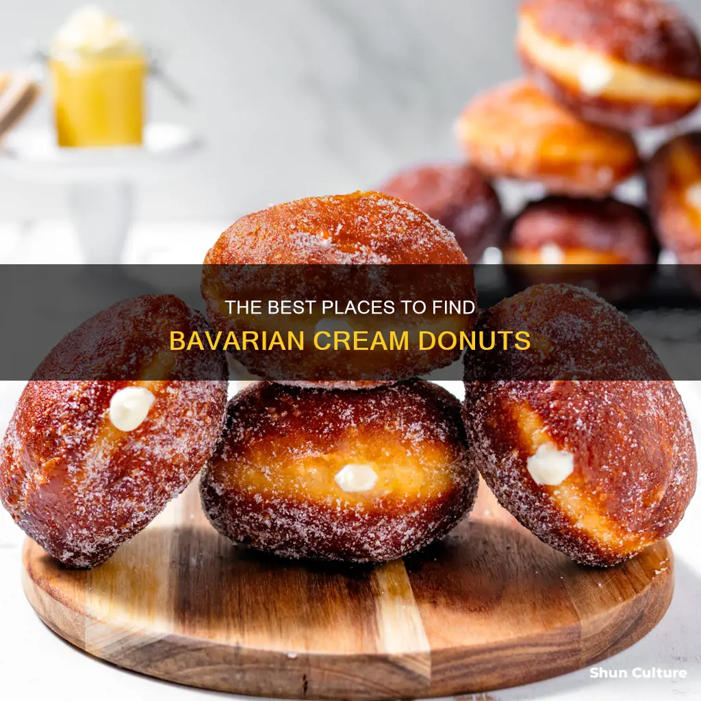 where can I get a bavarian cream donut