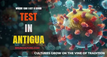 Where to Get a COVID Test in Antigua: A Quick Guide