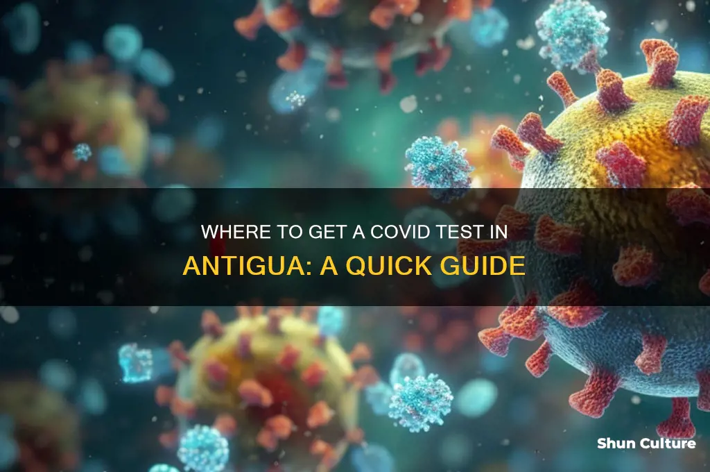where can I get a covid test in antigua