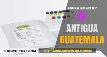 PCR Testing in Antigua Guatemala: Locations and Availability Guide