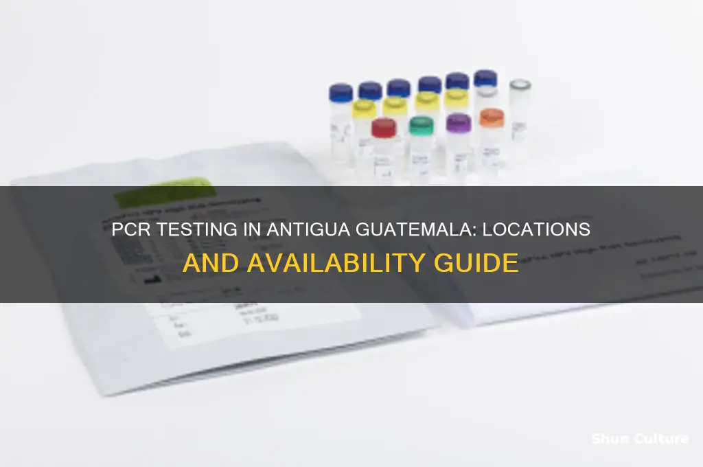 where can I get a pcr test in antigua guatemala
