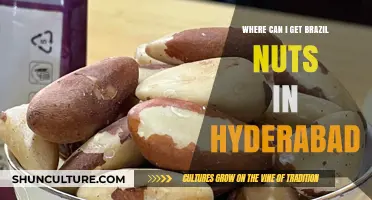 Discover Top Spots to Buy Brazil Nuts in Hyderabad