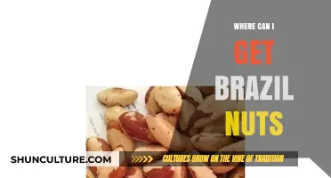 Discover the Best Places to Buy Brazil Nuts Online and Locally