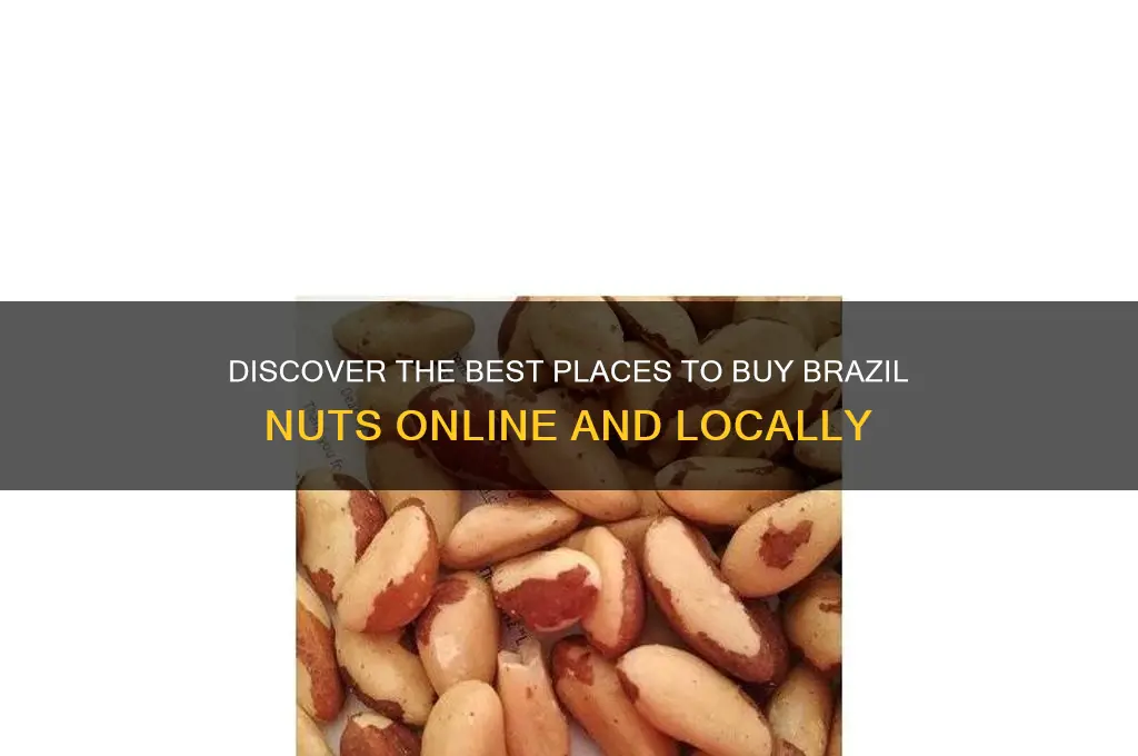 where can I get brazil nuts