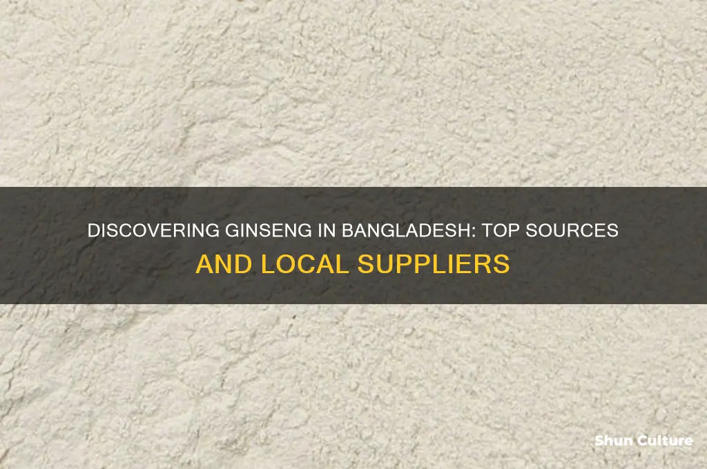 where can I get ginseng in bangladesh