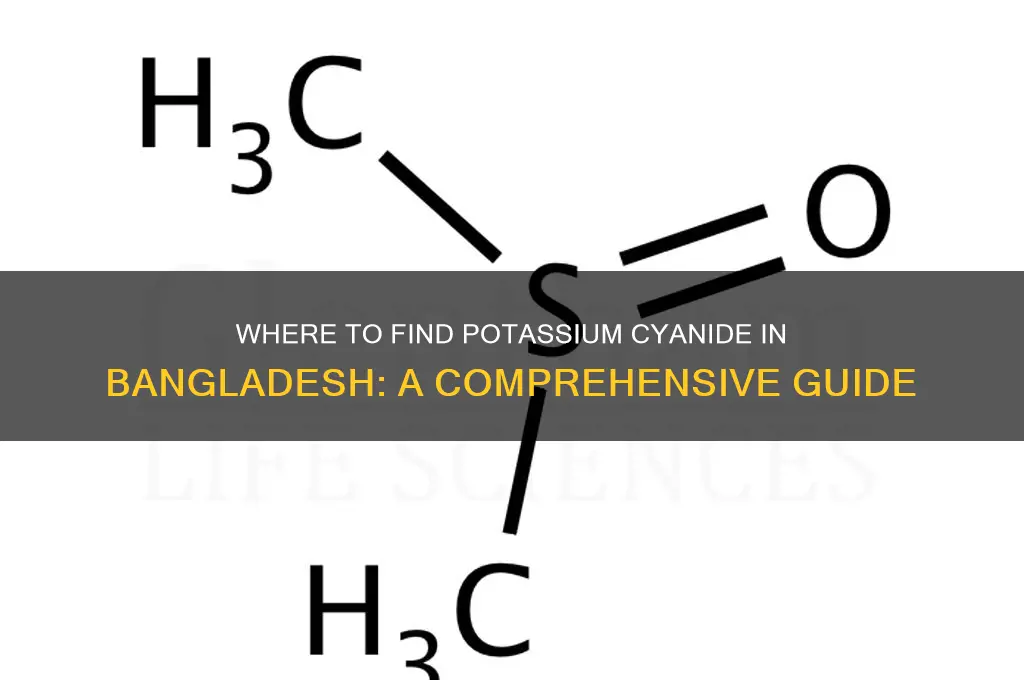 where can I get potassium cyanide in bangladesh