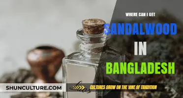 Discovering Sandalwood in Bangladesh: Best Sources and Locations