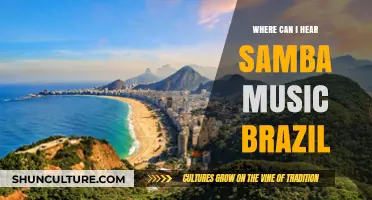Discover Brazil's Best Samba Music Hotspots: A Guide to Authentic Rhythms