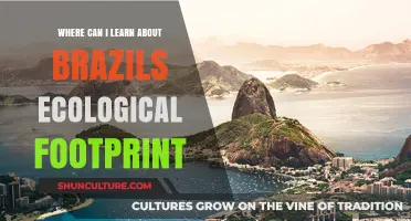 Exploring Brazil's Ecological Footprint: Top Resources for Learning and Understanding