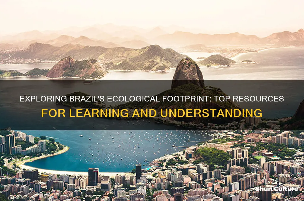 where can I learn about brazils ecological footprint