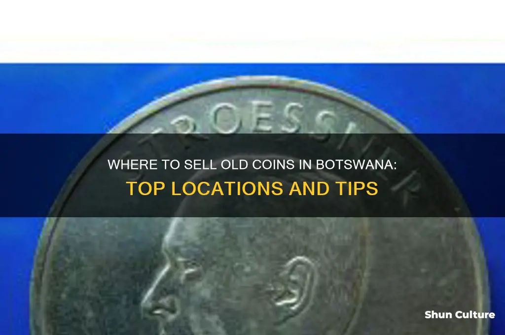 where can I sell my old coins in botswana