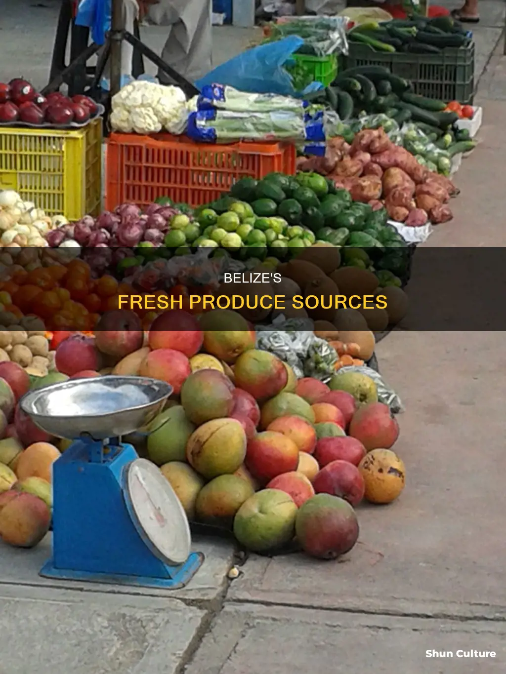 where can I source produce in belize